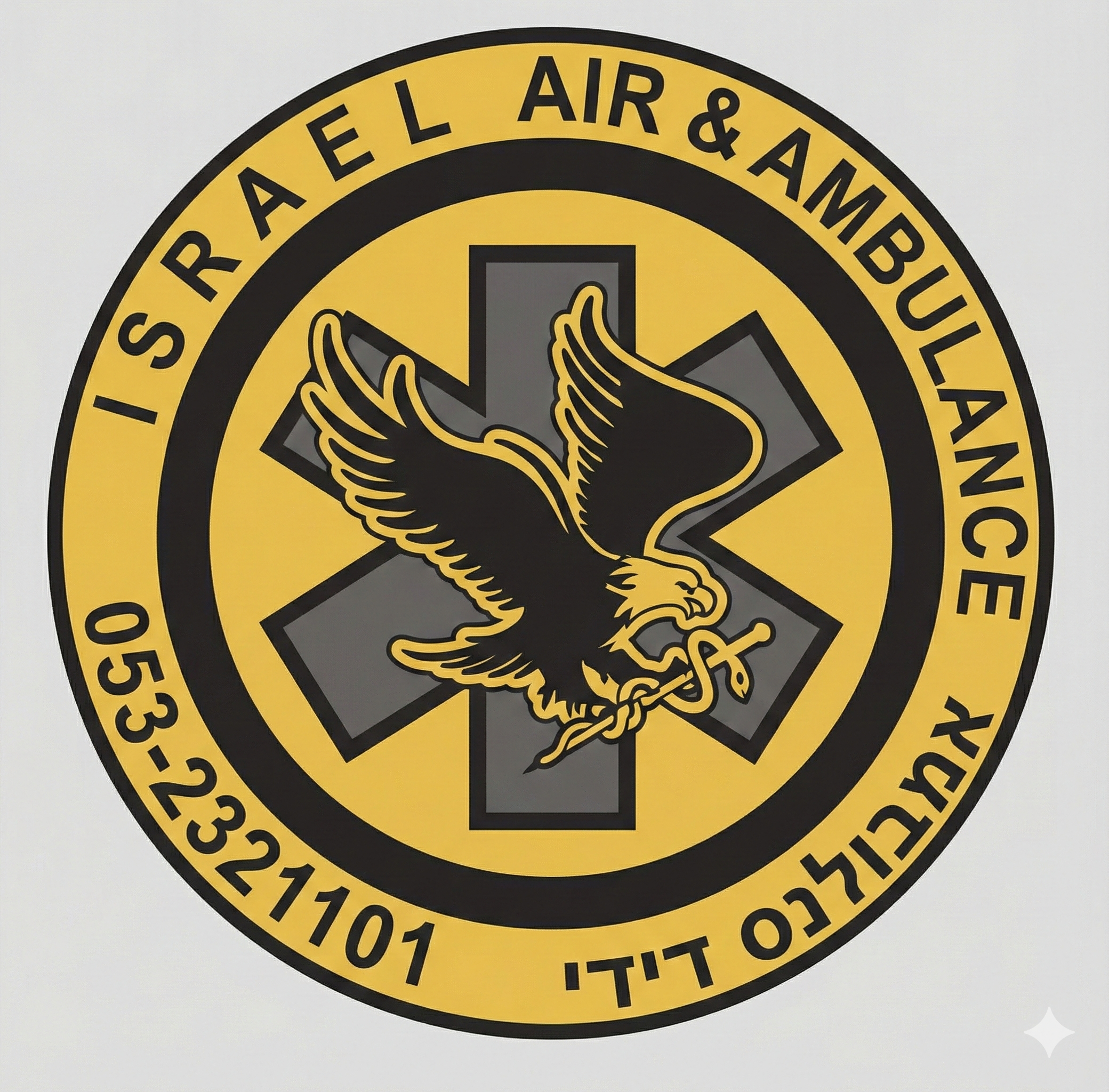 Israel Air & Ambulance Logo